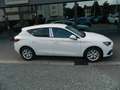 SEAT Leon Style Leon Road Edition 1.5 eTSI DSG SItzheiz/Kess Weiß - thumbnail 5