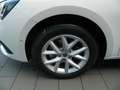 SEAT Leon Style Leon Road Edition 1.5 eTSI DSG SItzheiz/Kess Weiß - thumbnail 4