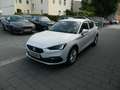SEAT Leon Style Leon Road Edition 1.5 eTSI DSG SItzheiz/Kess Weiß - thumbnail 3