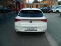 SEAT Leon Style Leon Road Edition 1.5 eTSI DSG SItzheiz/Kess Weiß - thumbnail 7