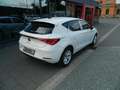 SEAT Leon Style Leon Road Edition 1.5 eTSI DSG SItzheiz/Kess Weiß - thumbnail 6