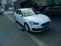 SEAT Leon Style Leon Road Edition 1.5 eTSI DSG SItzheiz/Kess Weiß - thumbnail 1