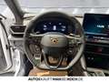 CUPRA Formentor 2.0 TSI 4Dr PANO SENNHEISER MATRIX 360 Weiß - thumbnail 10