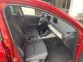 Mazda 2 😍Center-Line/ TOP ZUSTAND/wenig KM😍 Rouge - thumbnail 11