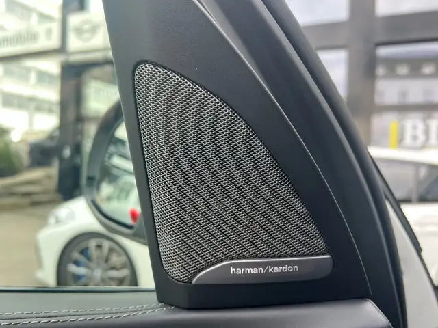 BMW X5 X5 view 21