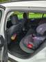 Ford Focus Focus Traveller 1,5 EcoBlue Trend Trend Weiß - thumbnail 5
