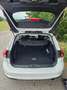 Ford Focus Focus Traveller 1,5 EcoBlue Trend Trend Weiß - thumbnail 9