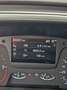 Ford Focus Focus Traveller 1,5 EcoBlue Trend Trend Weiß - thumbnail 7