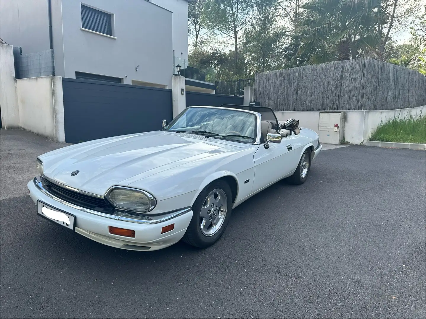 Jaguar XJS AJ16 Blanc - 2