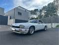 Jaguar XJS AJ16 Blanc - thumbnail 14