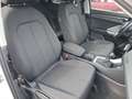 Audi Q3 35 2.0 tdi business quattro s-tronic Bianco - thumbnail 8