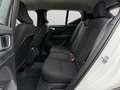 Volvo XC40 momentum / Essence Blanc - thumbnail 13