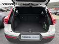 Volvo XC40 momentum / Essence Blanc - thumbnail 19