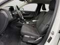 Volvo XC40 momentum / Essence Blanc - thumbnail 10