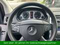 Mercedes-Benz B 170 Schaltgetriebe - Klima - Alufelgen Gris - thumbnail 11