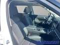 Hyundai SANTA FE Hybrid 158 kW 4WD Signature EU6e HEV 5-Sitzer (MY2 Weiß - thumbnail 9
