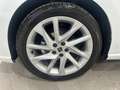SEAT Ibiza 5 Porte 1.0 EcoTSI FR Bianco - thumbnail 7