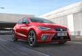 SEAT Ibiza 5 Porte 1.0 EcoTSI FR Bianco - thumbnail 22