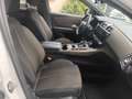 DS Automobiles DS 7 Crossback Crossback 1.5 Blue HDi 130 CV Auto Business Weiß - thumbnail 12