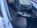 Alfa Romeo Stelvio Stelvio 2020 2.2 t Business rwd 160cv auto Bianco - thumbnail 2