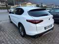 Alfa Romeo Stelvio Stelvio 2020 2.2 t Business rwd 160cv auto Bianco - thumbnail 1