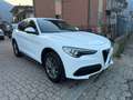 Alfa Romeo Stelvio Stelvio 2020 2.2 t Business rwd 160cv auto Bianco - thumbnail 4