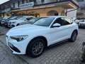 Alfa Romeo Stelvio Stelvio 2020 2.2 t Business rwd 160cv auto Bianco - thumbnail 9