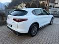 Alfa Romeo Stelvio Stelvio 2020 2.2 t Business rwd 160cv auto Bianco - thumbnail 12