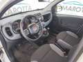 Fiat Panda 0.9 t.air t. 4x4 s&s 85cv Bianco - thumbnail 9