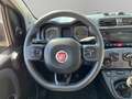 Fiat Panda 4x4 85cv turbo Grau - thumbnail 11