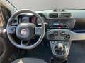 Fiat Panda 4x4 85cv turbo Grau - thumbnail 10