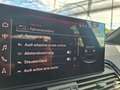 Audi Q5 40 TDI quattro * COMPETITION EDITION PLUS Schwarz - thumbnail 31