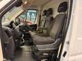 Fiat Ducato MAXI L5H3 Klima Tempomat Navi RCAM 1.Hand Weiß - thumbnail 12