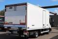 Iveco Eurocargo BAKWAGEN KOELWAGEN LAADKLEP THERMOKING V Blanc - thumbnail 2