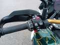 BMW R 1300 GS R 1300 GS ASA Grün - thumbnail 4