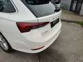 Skoda Octavia Combi 2.0 TDI DSG Style*Navi*AHK*Pano*Ke Weiß - thumbnail 15