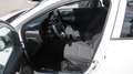 Kia Picanto 1,0 GDI Silber 4 Stz. Weiß - thumbnail 10