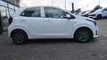 Kia Picanto 1,0 GDI Silber 4 Stz. Weiß - thumbnail 8