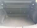 Nissan Qashqai 1.3 mhev Business 2wd 158cv xtronic Bianco - thumbnail 4