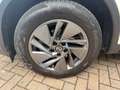 Nissan Qashqai 1.3 mhev Business 2wd 158cv xtronic Bianco - thumbnail 5