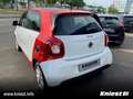 smart forFour Passion 66kW 0.9 Turbo Weiß - thumbnail 8