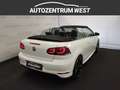 Volkswagen Golf Cabriolet Golf Cabrio 2,0 TDI Rabbit...Bi-Xenon/NAVI/RFK Weiß - thumbnail 13