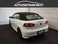 Volkswagen Golf Cabriolet Golf Cabrio 2,0 TDI Rabbit...Bi-Xenon/NAVI/RFK Weiß - thumbnail 10