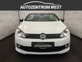 Volkswagen Golf Cabriolet Golf Cabrio 2,0 TDI Rabbit...Bi-Xenon/NAVI/RFK Weiß - thumbnail 4