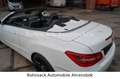 Mercedes-Benz E 200 E Cabrio  CGI Top gepflegt! Bianco - thumbnail 14
