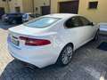 Jaguar XF XF I 2008 Berlina3.0d V6 Luxury auto Bianco - thumbnail 5