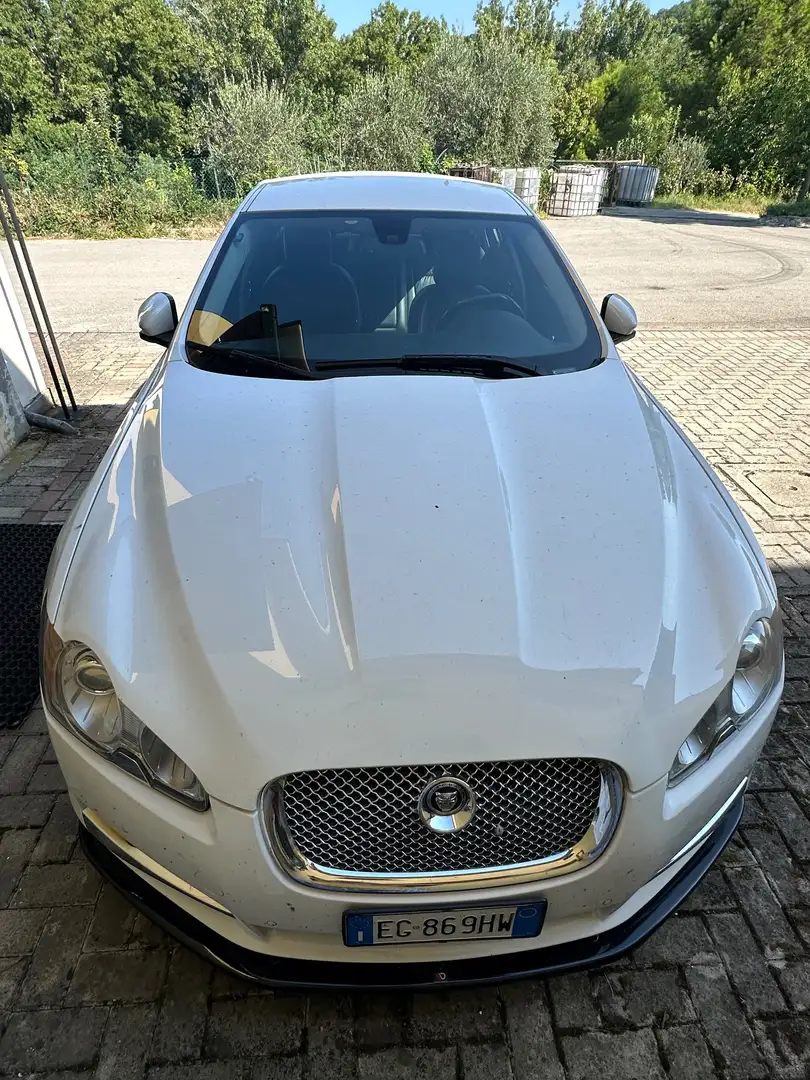 Jaguar XF XF I 2008 Berlina3.0d V6 Luxury auto Bianco - 2