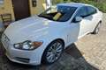 Jaguar XF XF I 2008 Berlina3.0d V6 Luxury auto Bianco - thumbnail 3