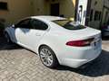 Jaguar XF XF I 2008 Berlina3.0d V6 Luxury auto Bianco - thumbnail 4