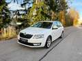 Skoda Octavia 1.6TDI Ambition 4x4 Allrad Weiß - thumbnail 1
